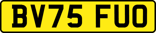 BV75FUO