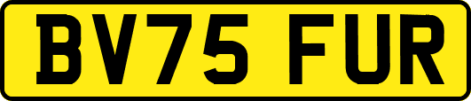 BV75FUR