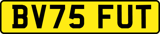 BV75FUT