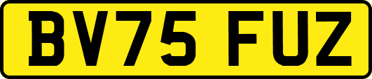 BV75FUZ