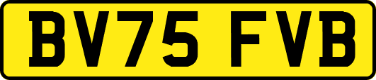 BV75FVB
