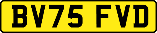 BV75FVD