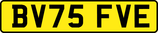 BV75FVE