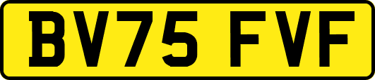 BV75FVF