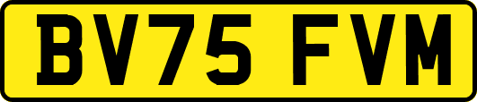 BV75FVM