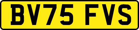 BV75FVS