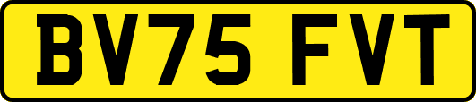 BV75FVT
