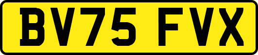 BV75FVX
