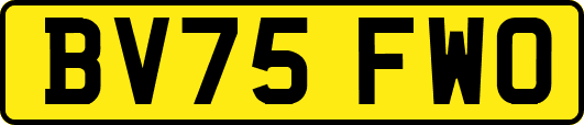 BV75FWO