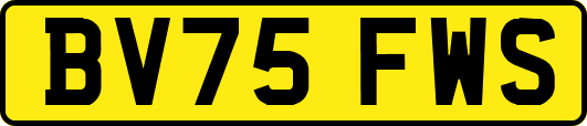 BV75FWS