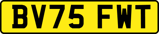 BV75FWT
