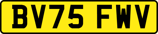 BV75FWV