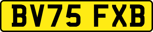 BV75FXB