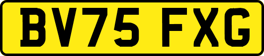 BV75FXG