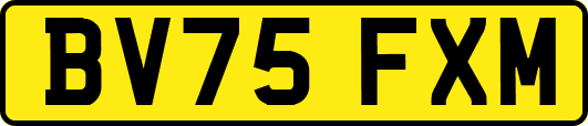 BV75FXM
