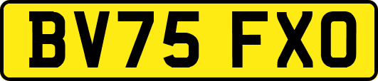BV75FXO