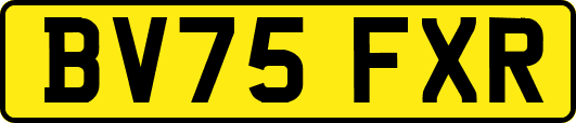 BV75FXR