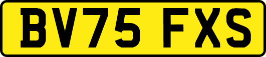BV75FXS
