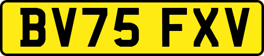 BV75FXV