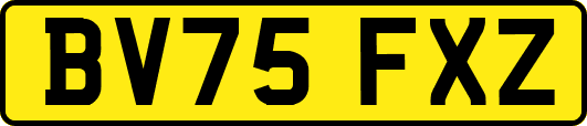 BV75FXZ