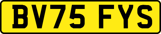 BV75FYS