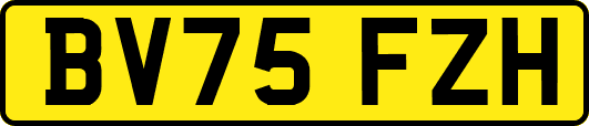 BV75FZH