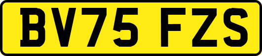 BV75FZS