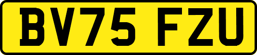 BV75FZU