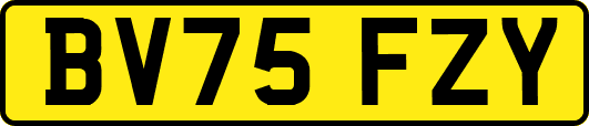 BV75FZY