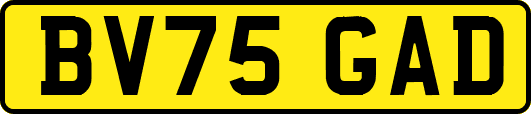 BV75GAD