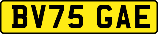 BV75GAE