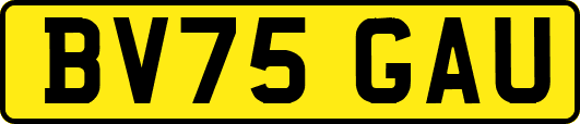 BV75GAU