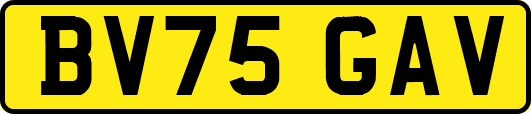 BV75GAV