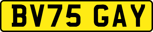 BV75GAY