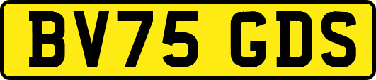 BV75GDS