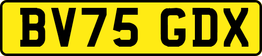 BV75GDX