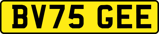 BV75GEE
