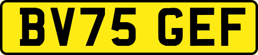 BV75GEF