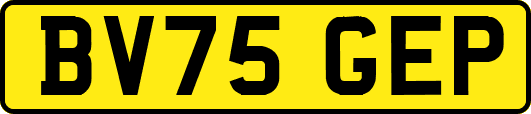 BV75GEP