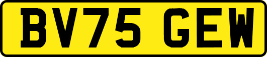 BV75GEW