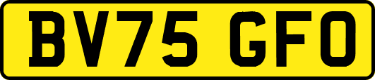 BV75GFO