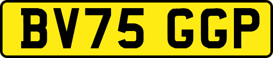 BV75GGP