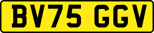 BV75GGV