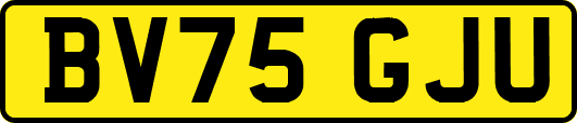 BV75GJU