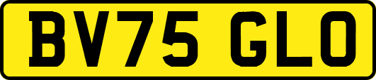BV75GLO