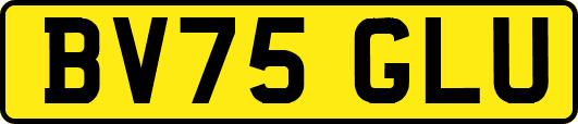 BV75GLU