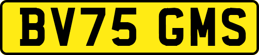 BV75GMS