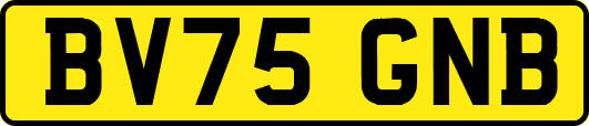 BV75GNB
