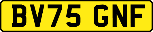 BV75GNF
