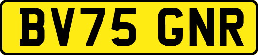 BV75GNR